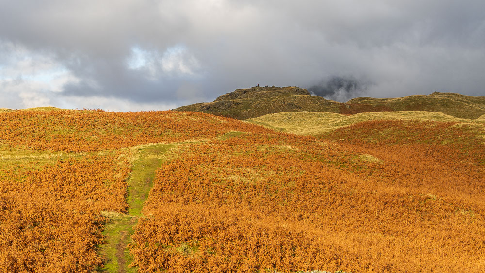High Rigg High Rigg